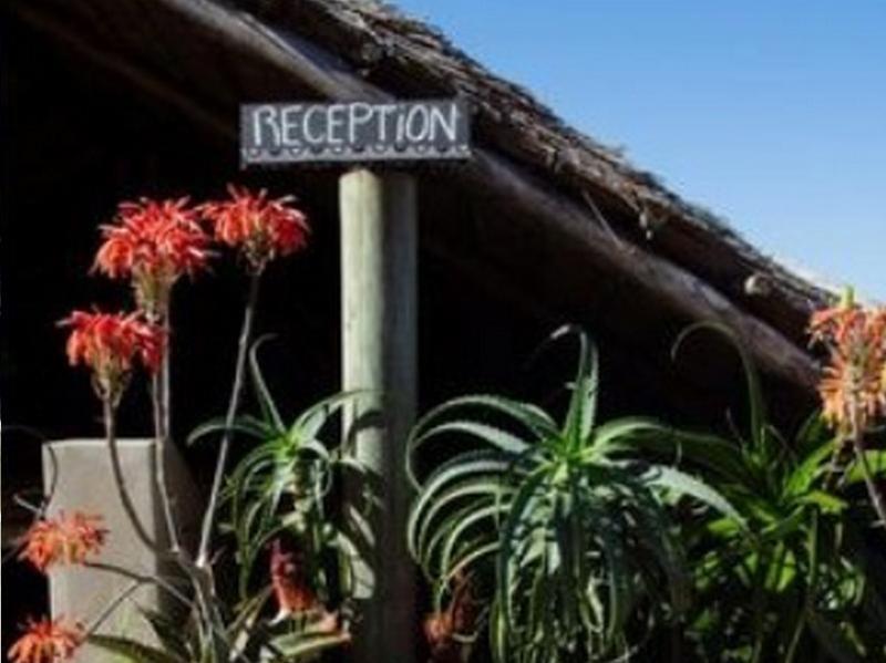 Swell Eco Lodge Lutsheni Eksteriør bilde